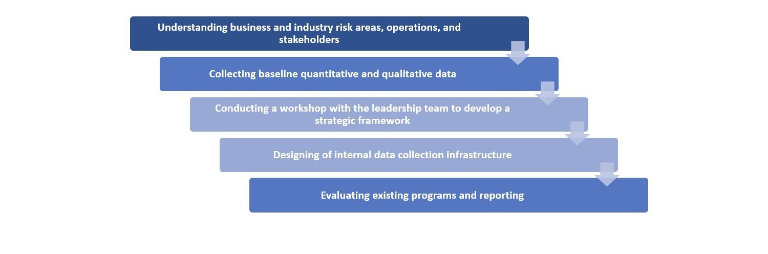 esg process